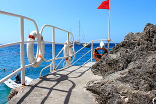 球场安全：未来球场与安保新思路，球场防护